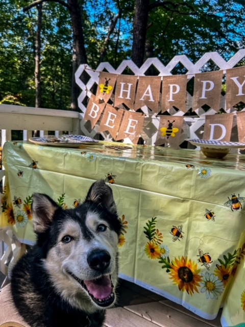 Happy Bee Day&nbsp;Beana!
